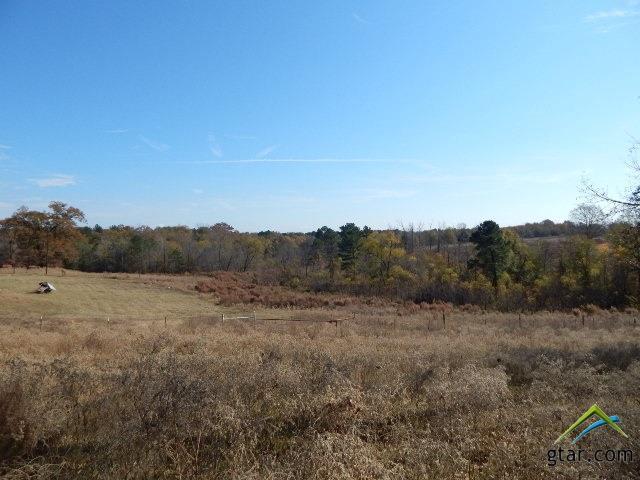 TBD 40 Acres Bluebird Road - Photo 1