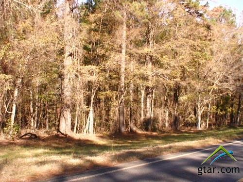 000 St. Hwy. 294 - Photo 1