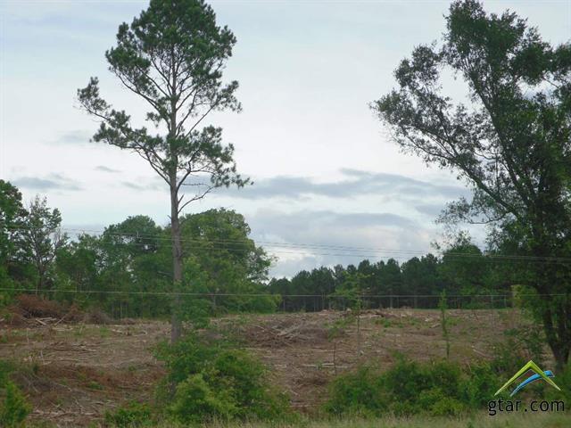 TBD Us Hwy 271 - Photo 1