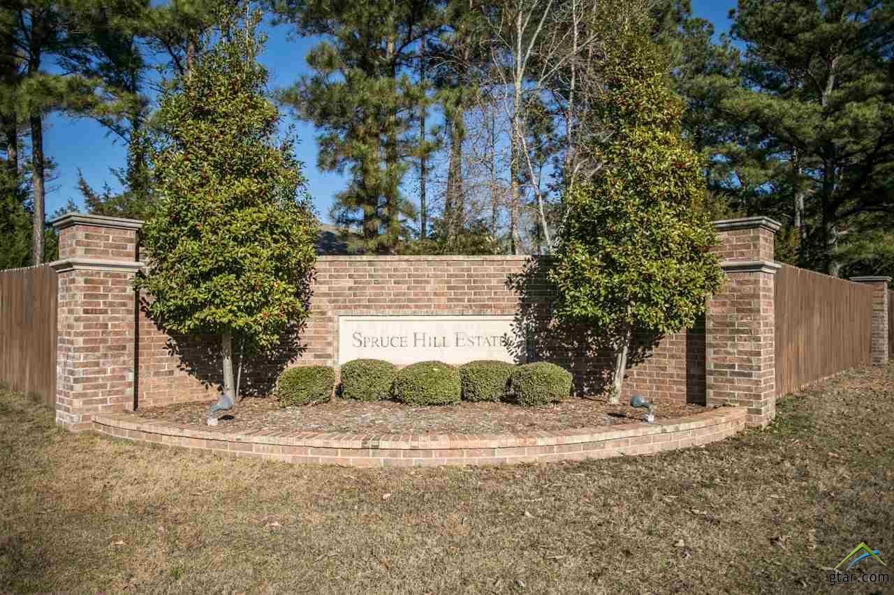 18217 Spruce Hill Dr - Photo 1