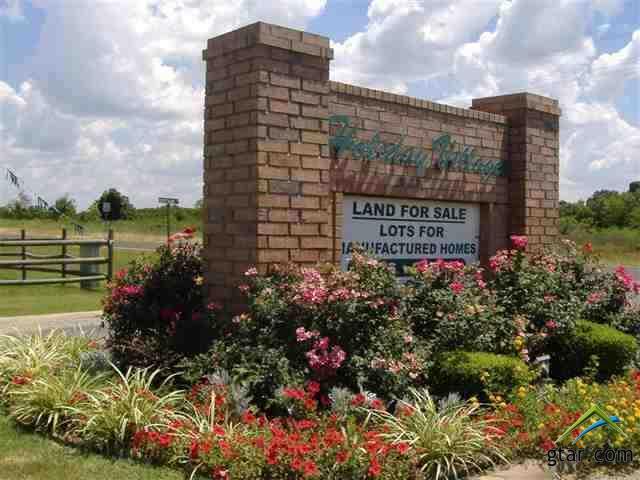 Lot 206 Apache - Photo 1