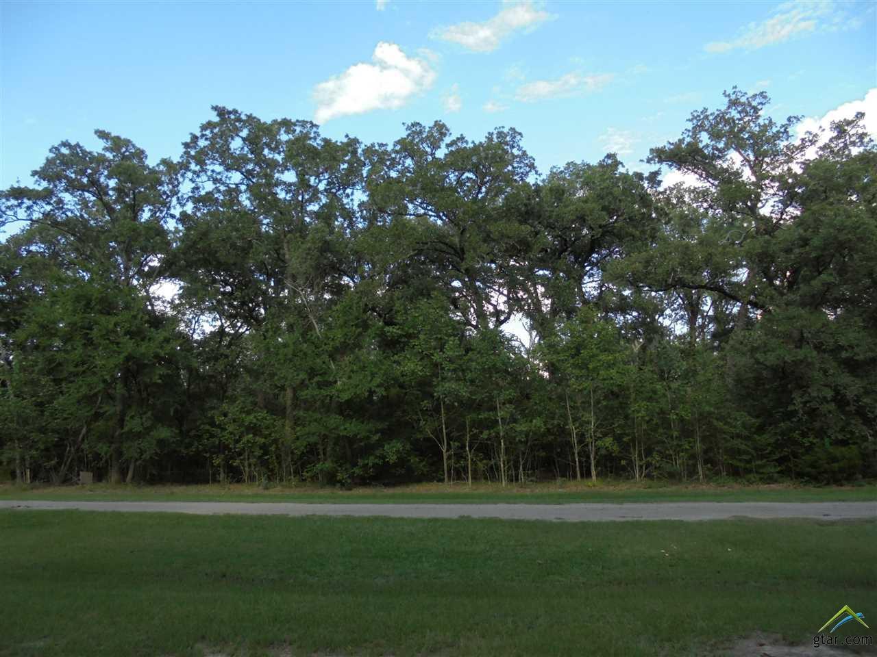 Lot 12 & 13 Rs Cr 3319 - Photo 1