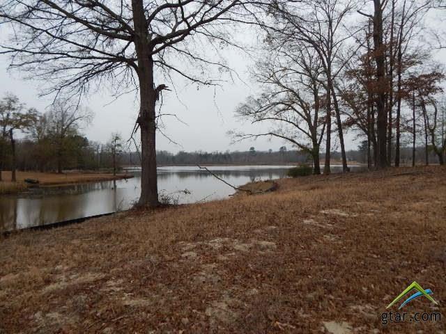 Lot 14 Cardinal Road - Photo 1