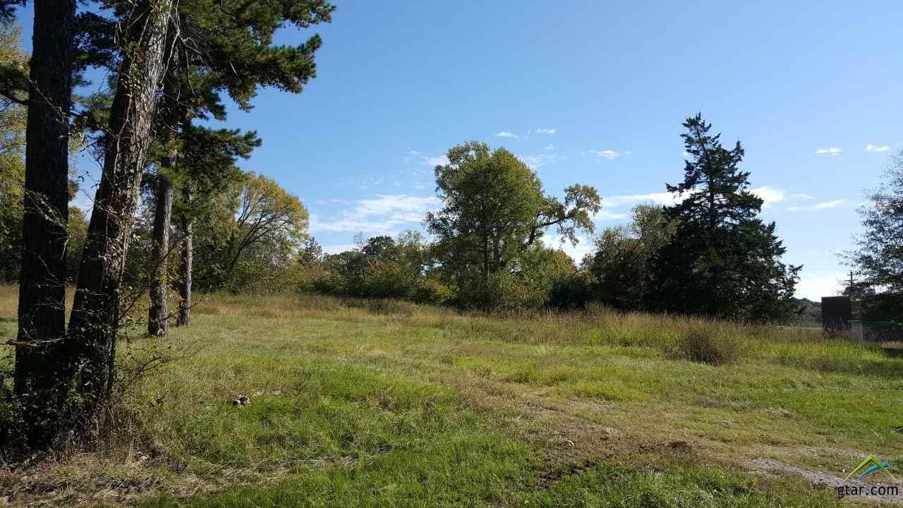 22771 Cr 1174 - Photo 1