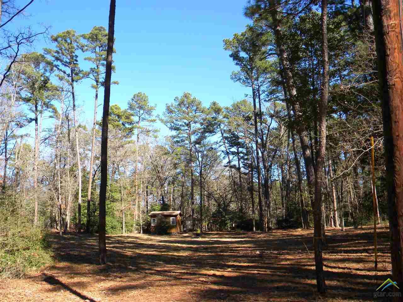 215 Weeping Willow Cove - Photo 1