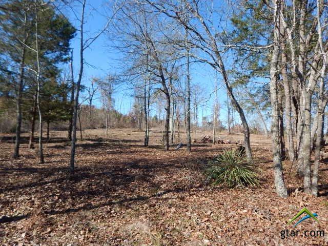 TBD Lot 113 Raintree Lakes - Photo 1