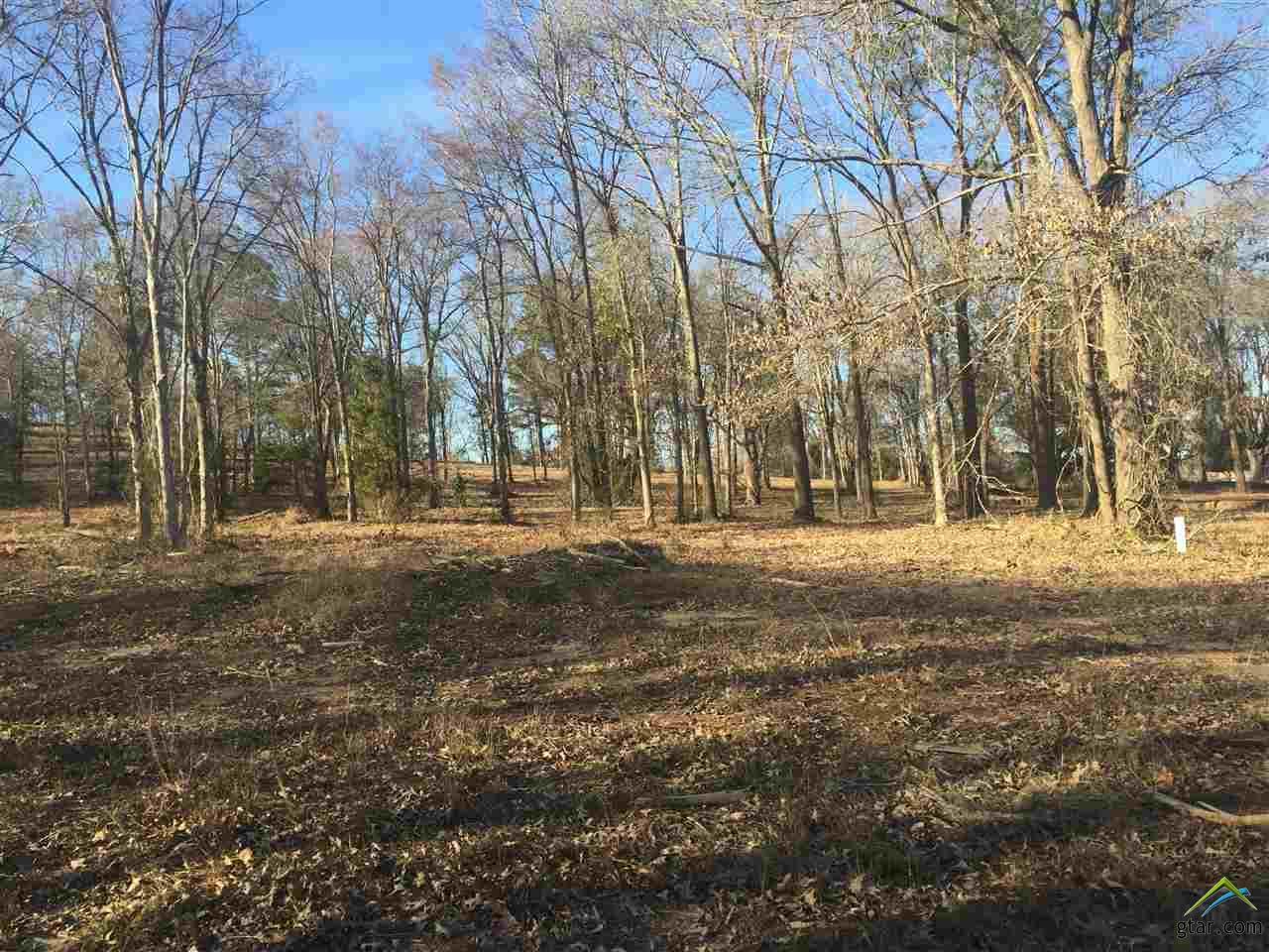 12118 Hackberry Hollow - Photo 1