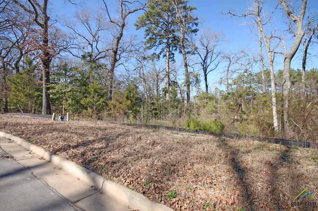 2611 Oak Alley - Photo 1