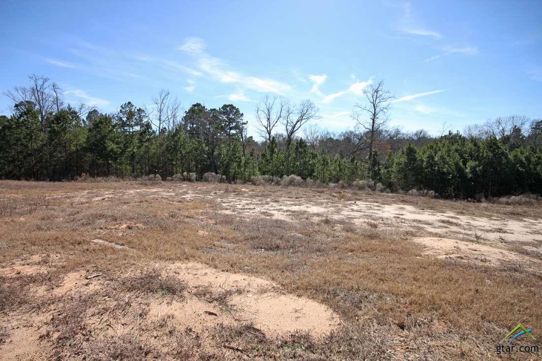 7544 Princedale - Photo 1