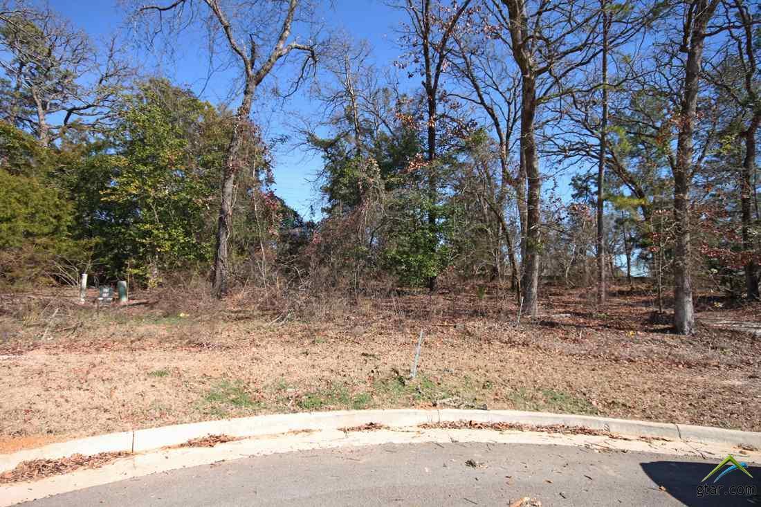 7661 Princedale - Photo 1