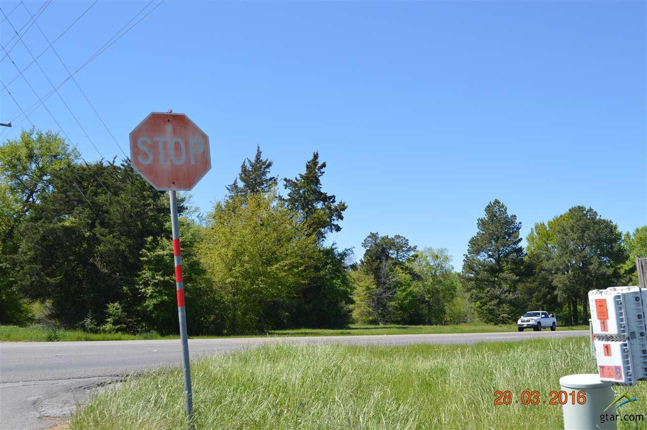 700 Greer Blvd - Photo 1