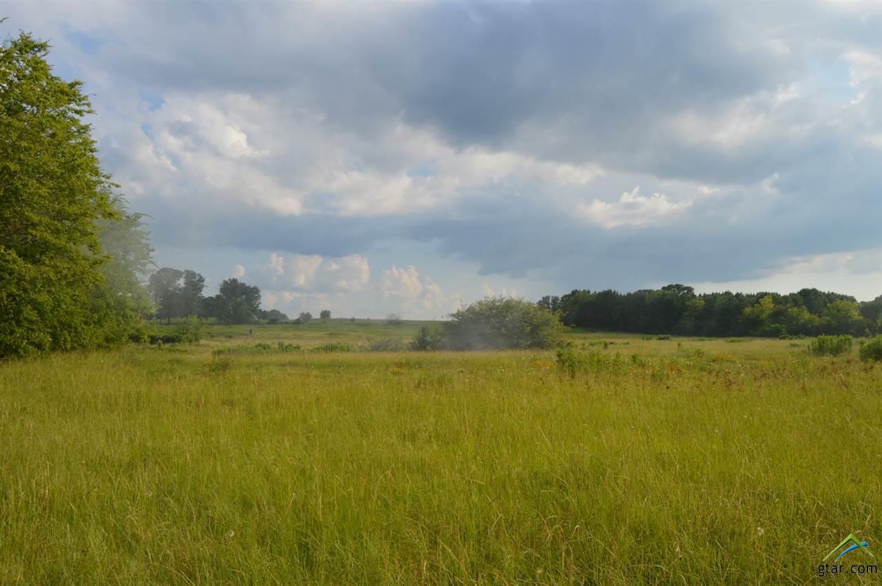 3 Highway 154 - Photo 1
