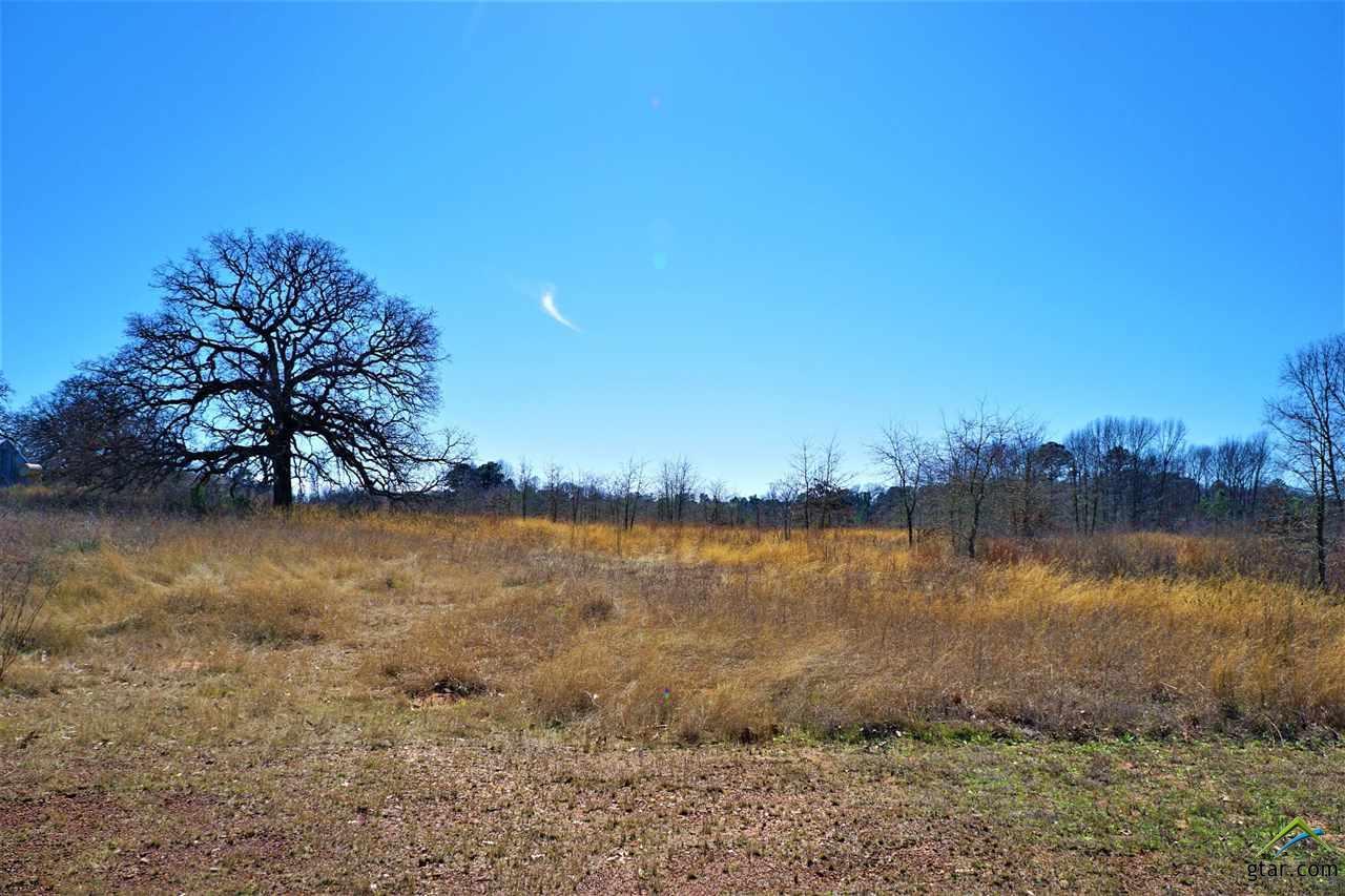 11835 Cr 35 (Lavender Road) - Photo 1
