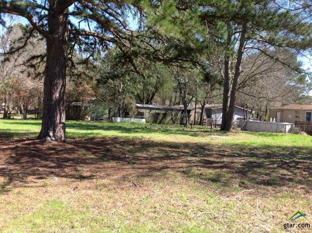 20722 Sunnyland Drive - Photo 1