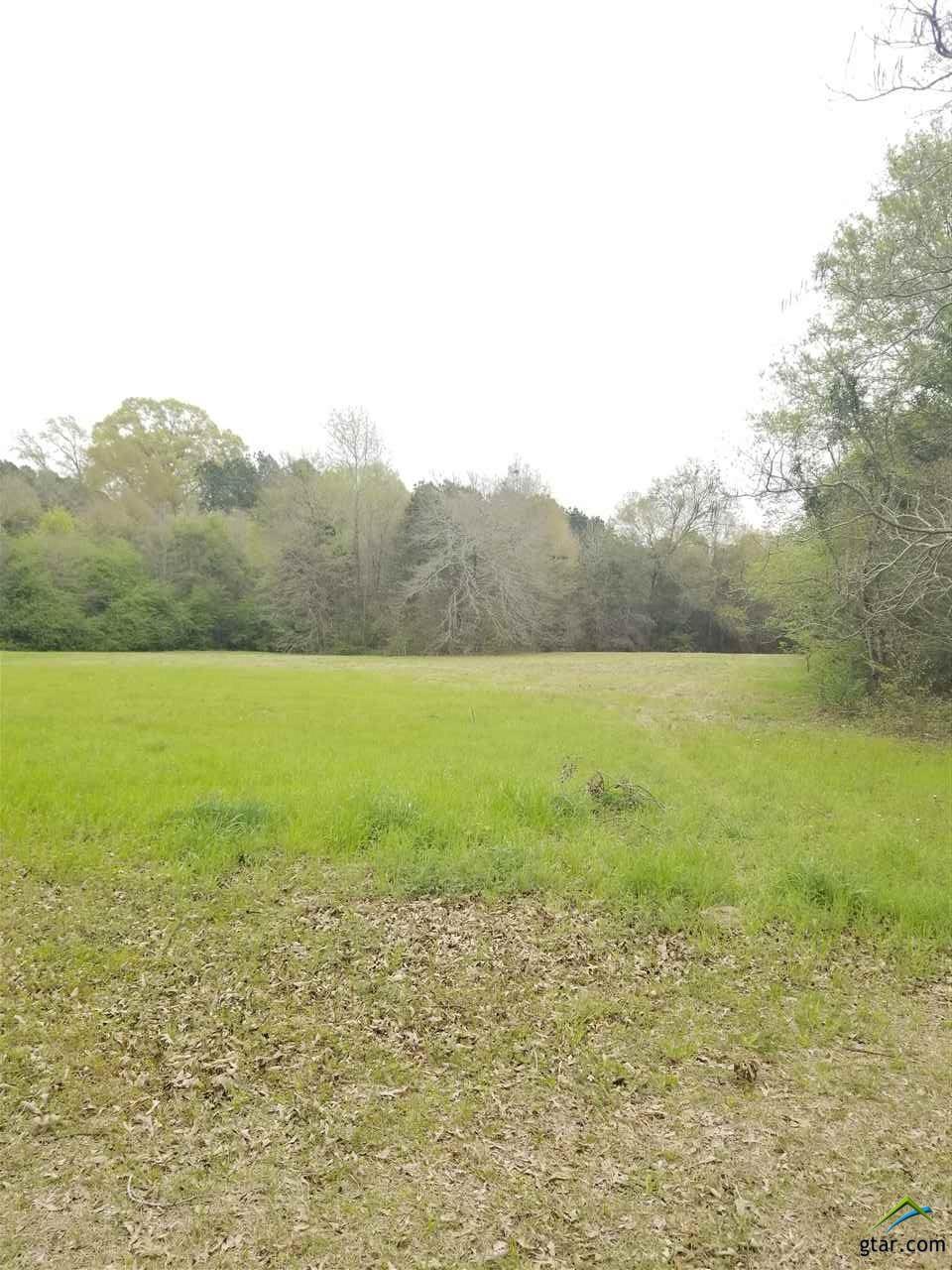 TBD Willingham Rd (Cr 2171) - Photo 1