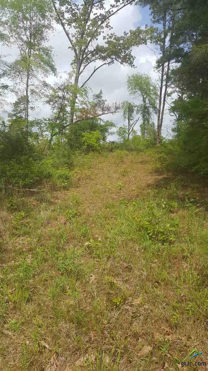 TBD Hwy 135 - Photo 1