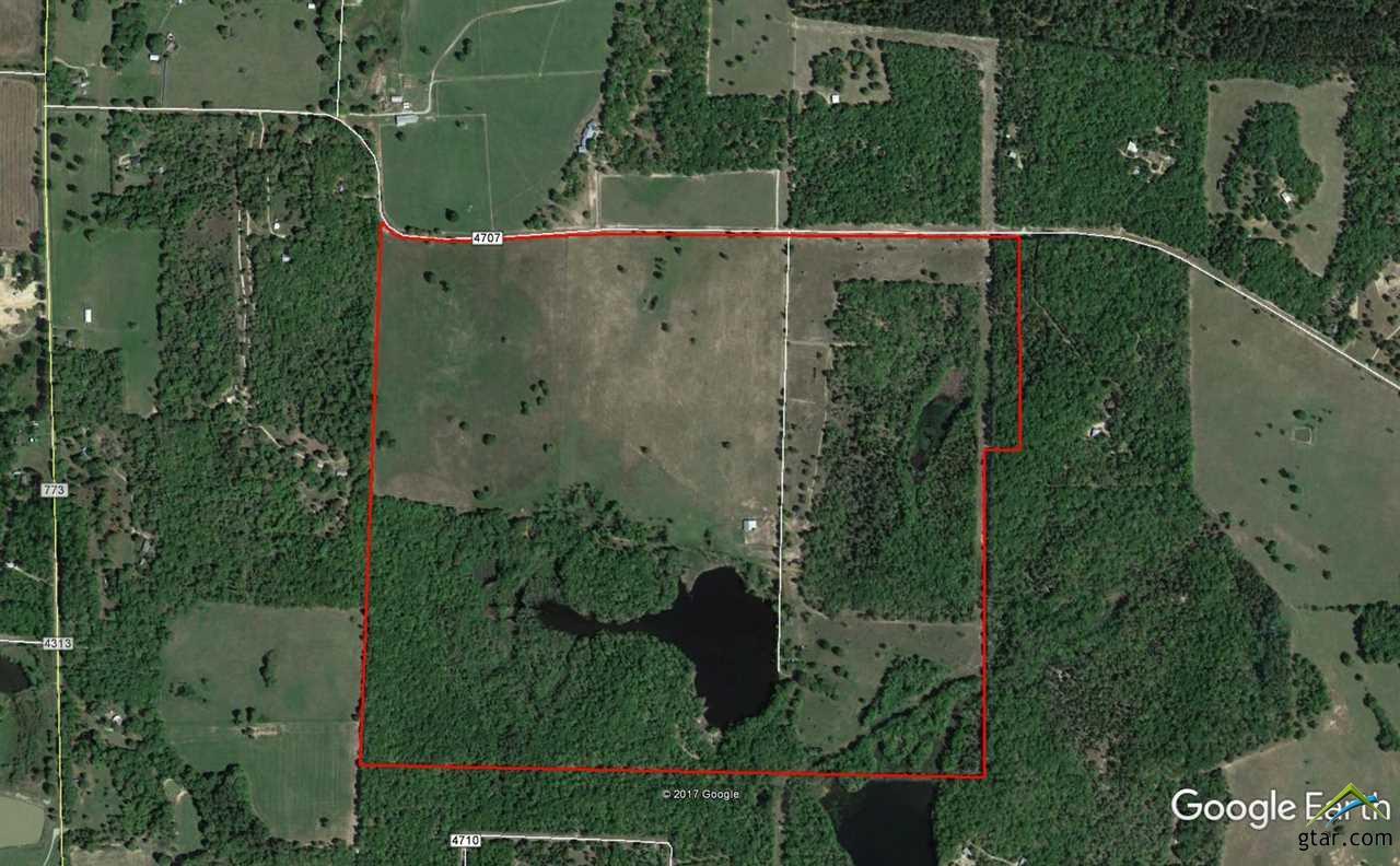 1995 County Road 4707 - Photo 1