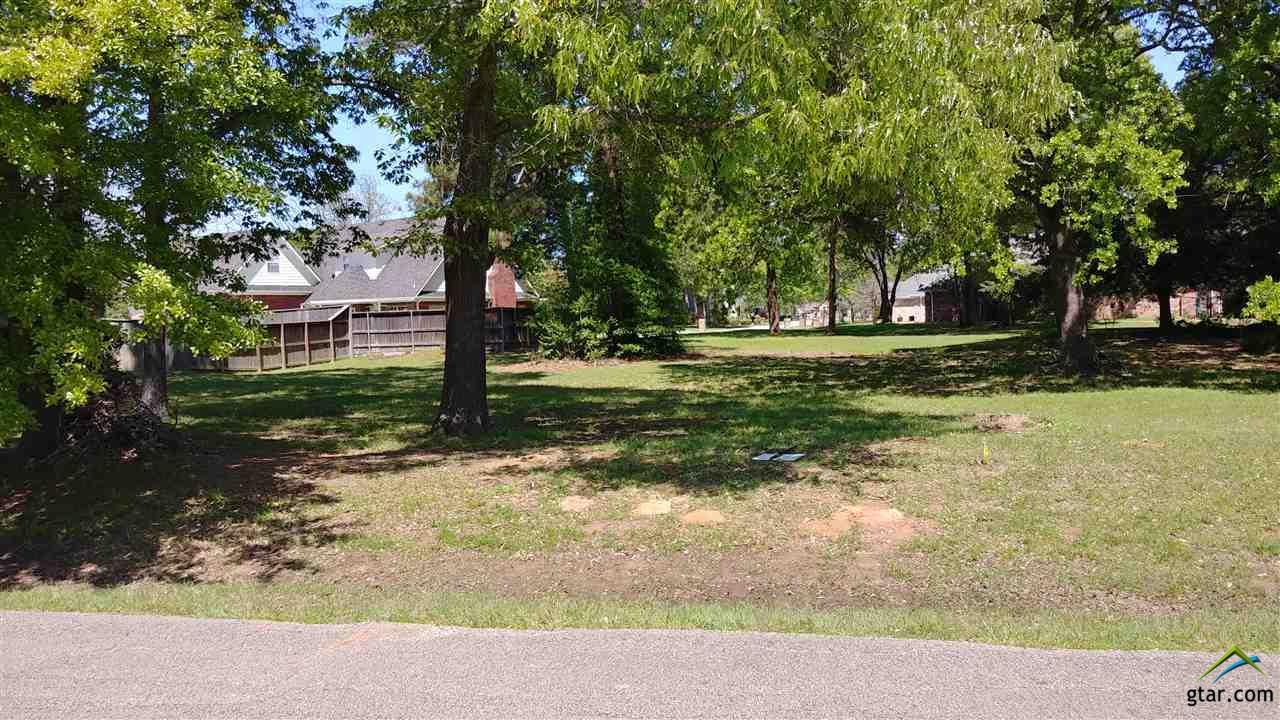 104 Lasater Lane - Photo 1