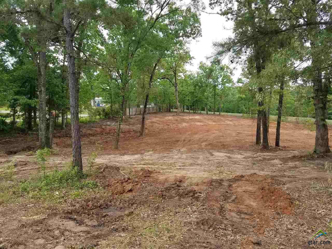 TBD - Lot 8 Cr 2220 - Photo 1