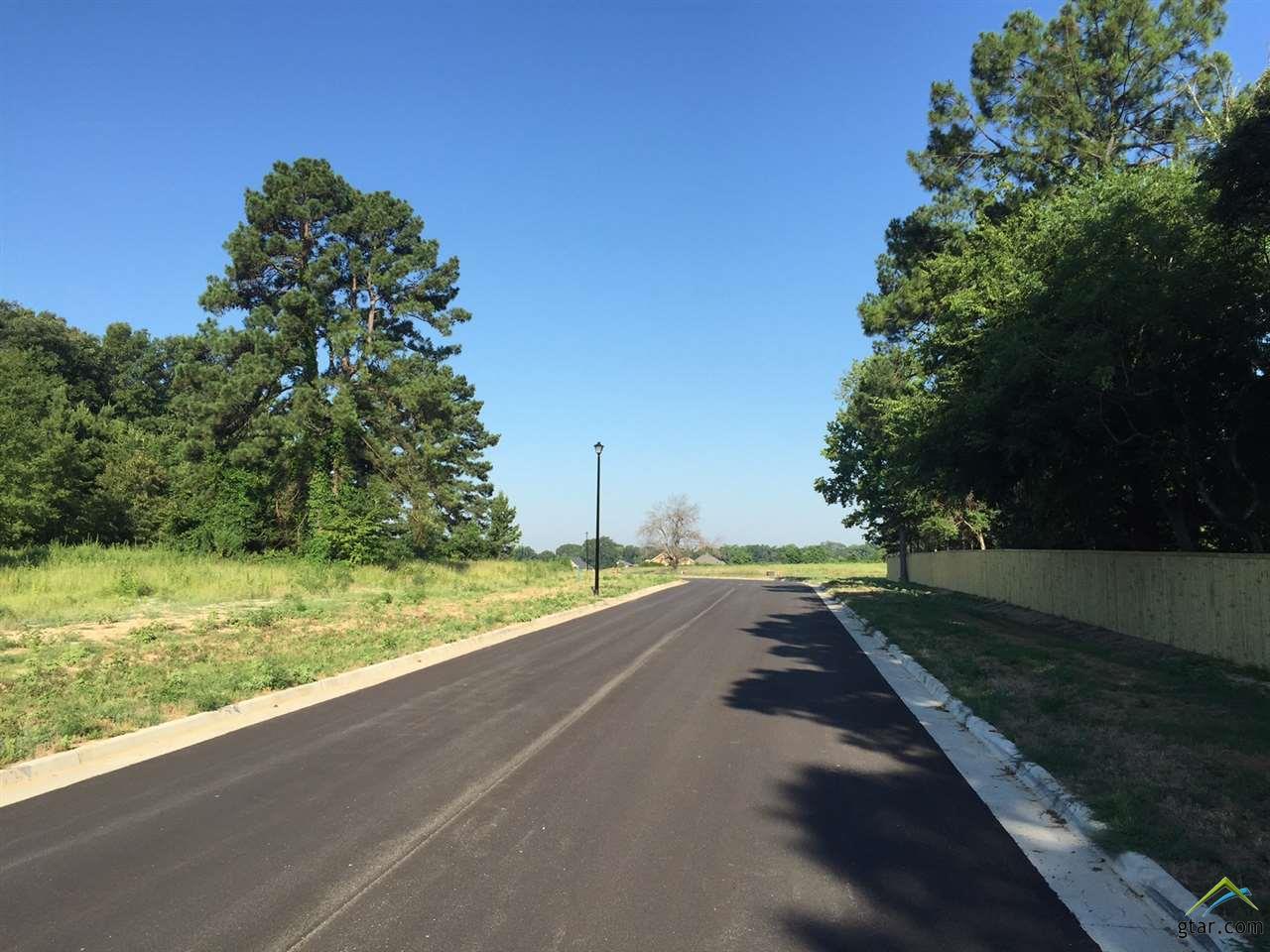 7322 Harvest Hill - Photo 1