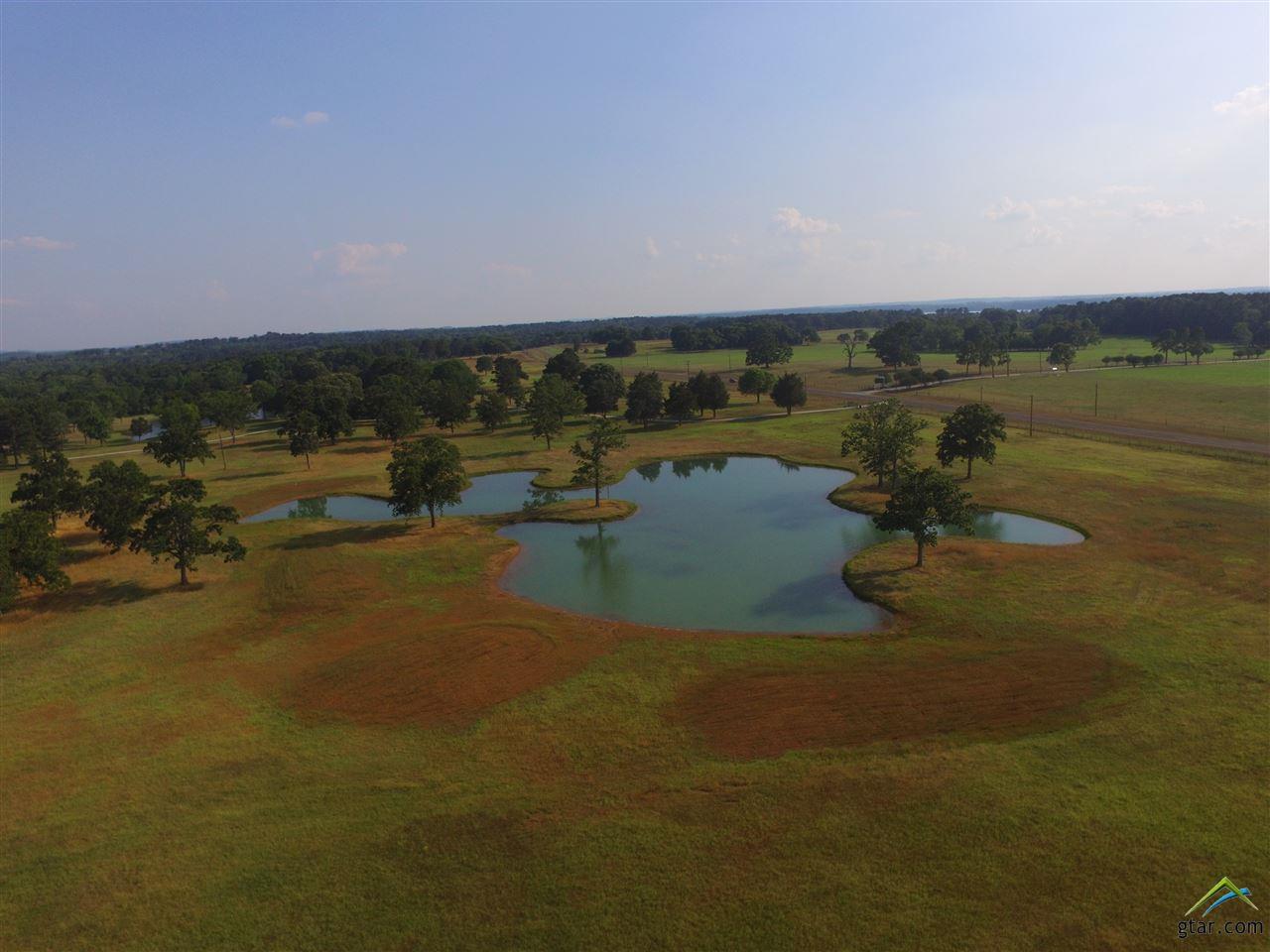 1414 Fm 346 N - Photo 1