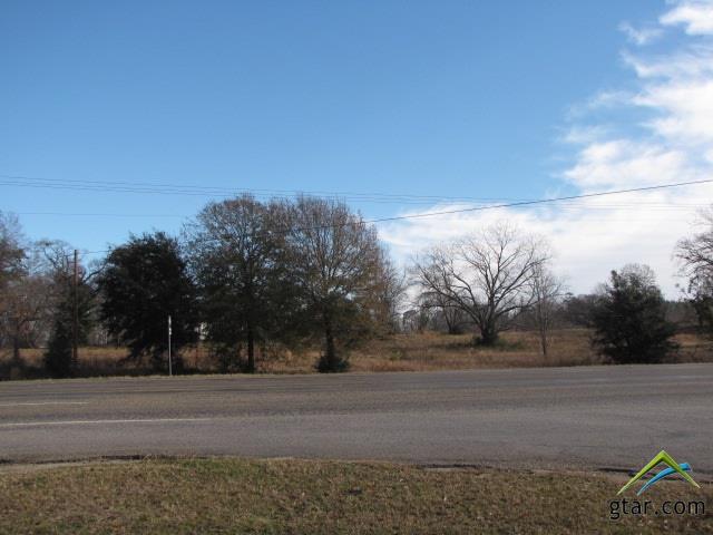 Tract 4 Hwy 259/Millville Dr. - Photo 1