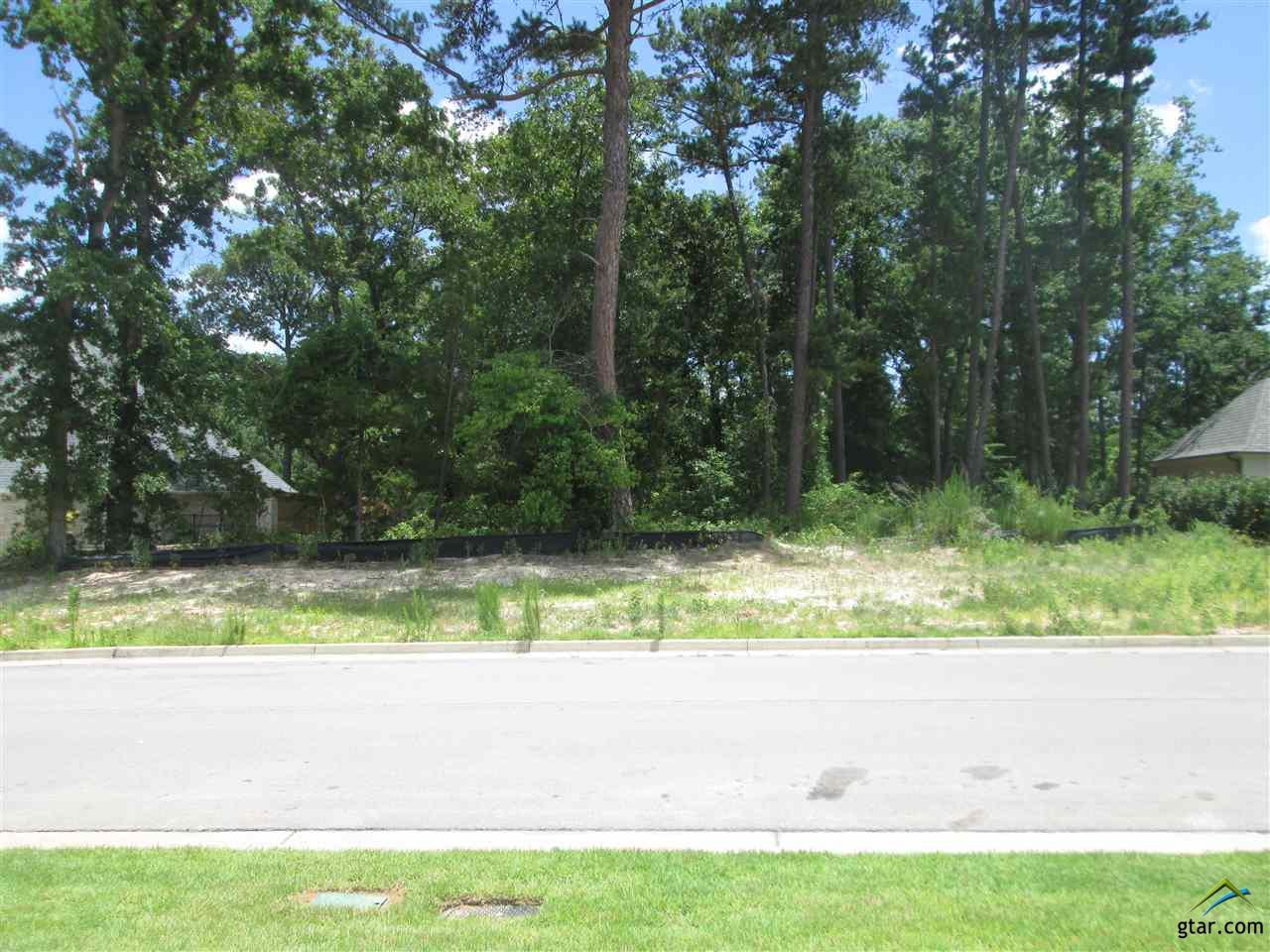 2632 Oak Alley - Photo 1