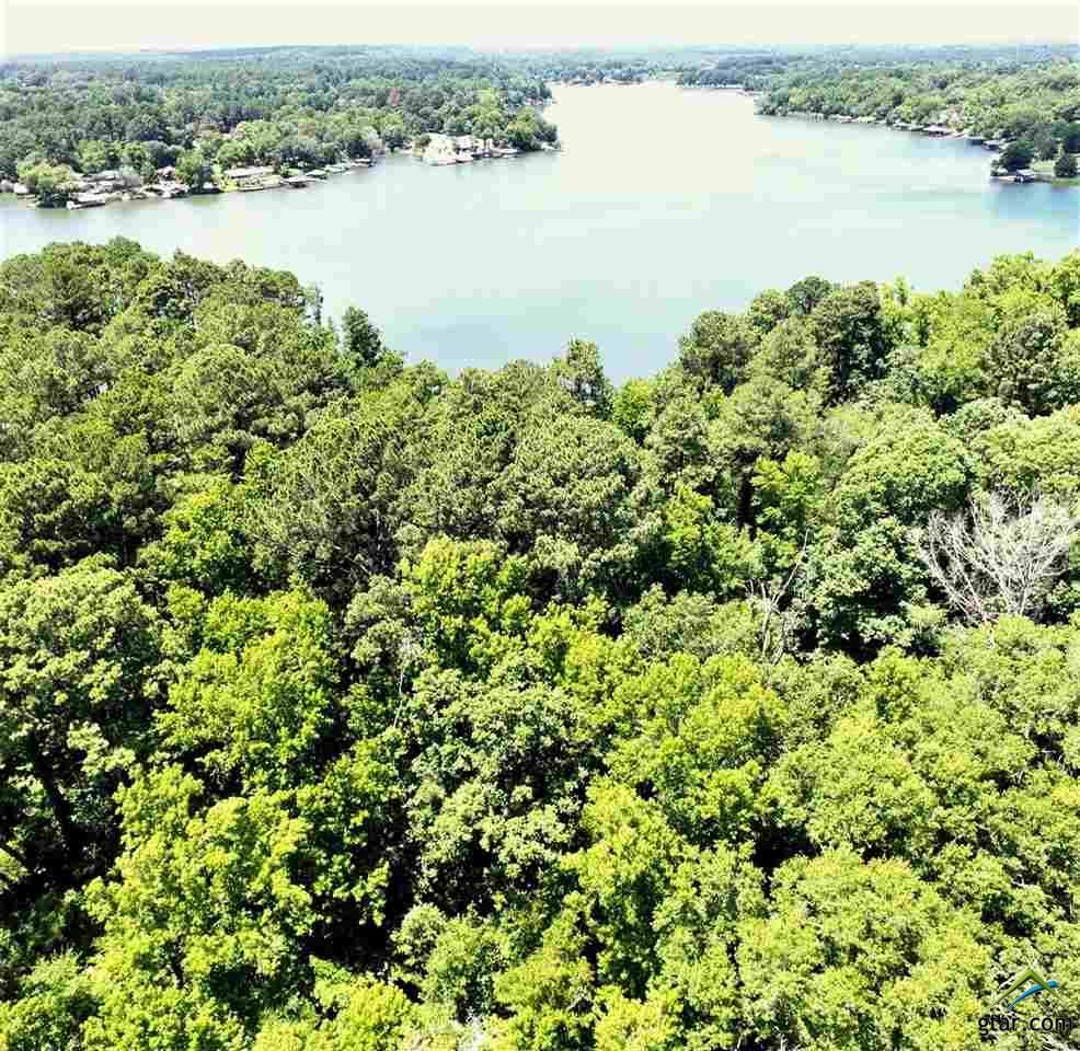 Lot 11R and 12 Lakeshore Dr - Photo 1