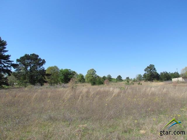 19295 Hwy 69 N-3 - Photo 1