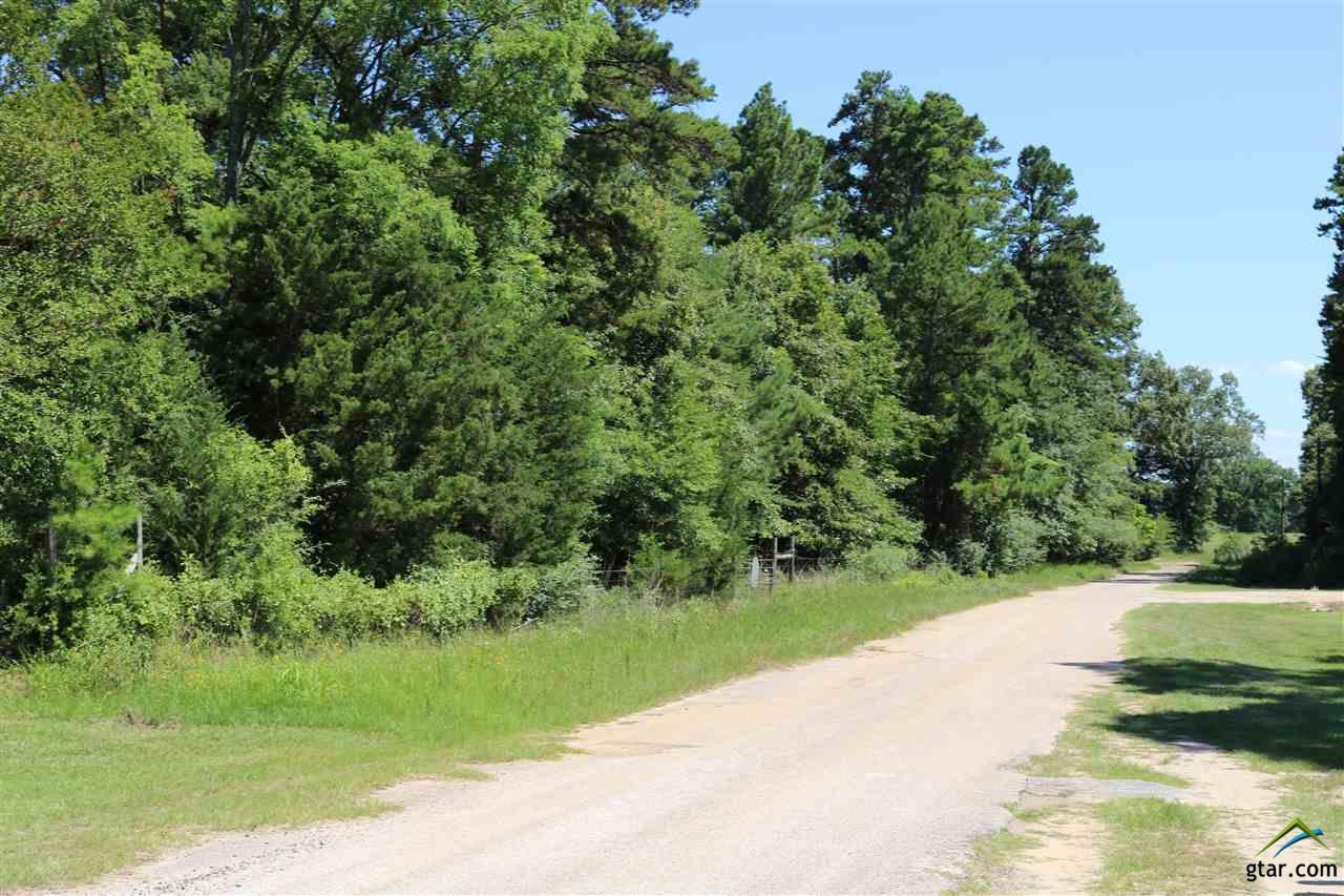 295 Kyle Wilson Road - Photo 1