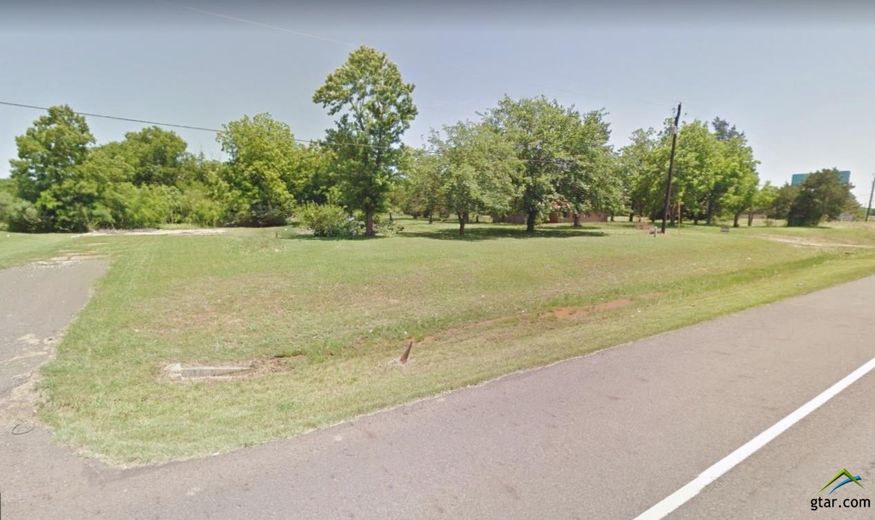 250 Doctor M Roper Pkwy. - Photo 1
