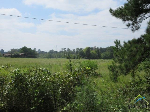 tbd Waldron Ferry Rd - Photo 1