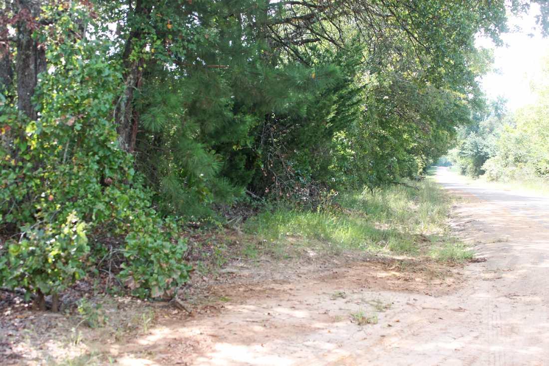 12621 Hwy 155 N - Photo 1