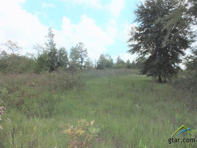 TBA U.S Hwy 69 - Photo 1