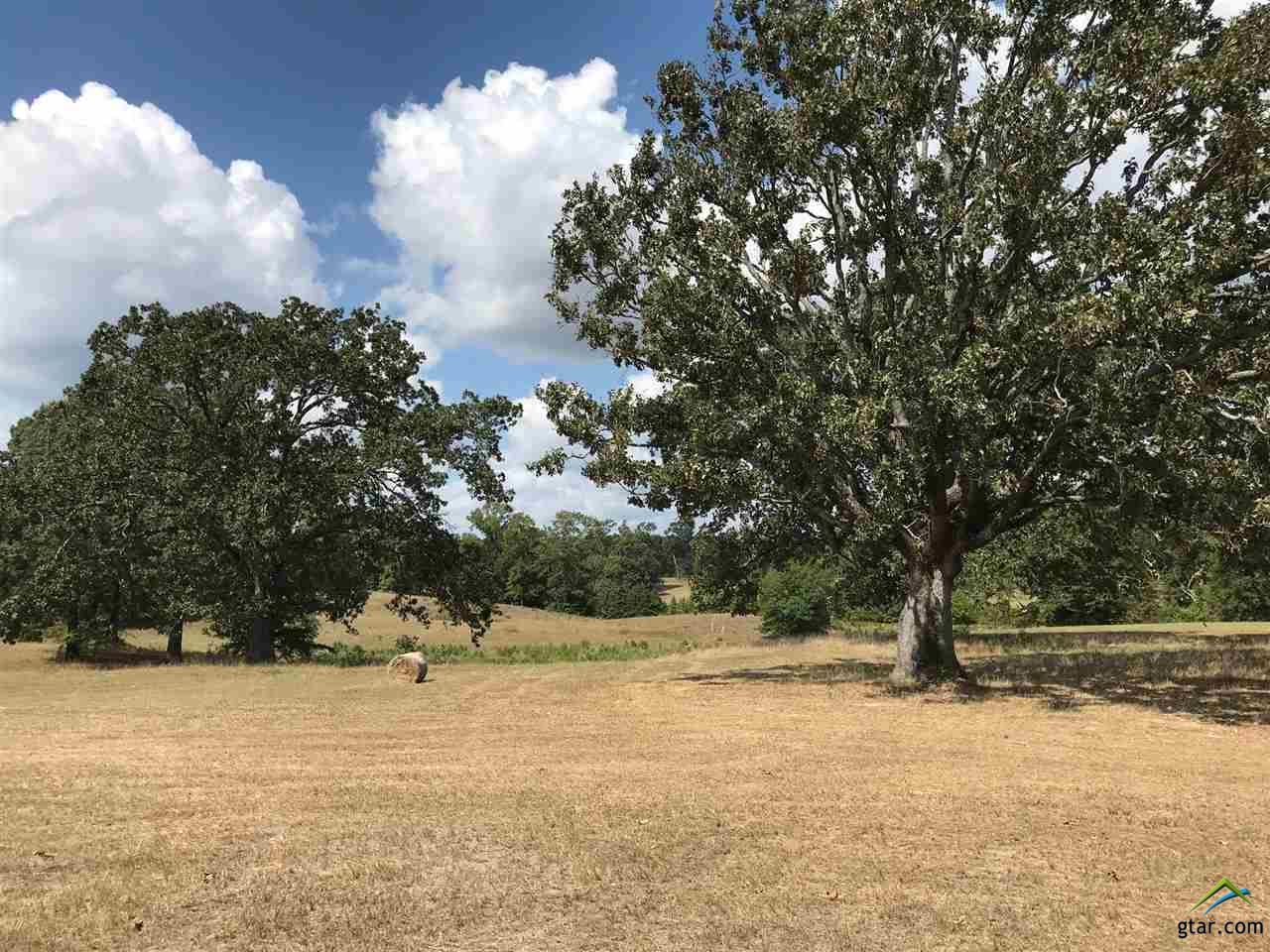 TRACT 12 Fm 3358 - Photo 1