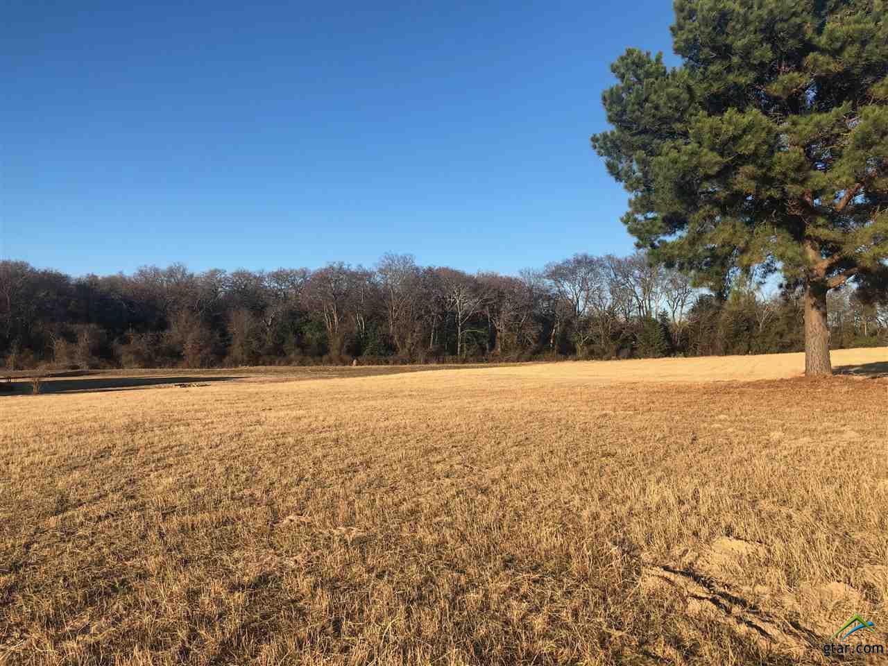 16388 Cattle Barron - Photo 1