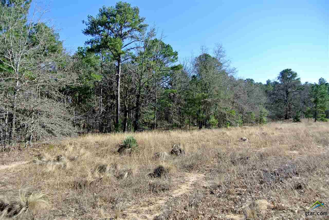 TBD Cr 4316 - Photo 1