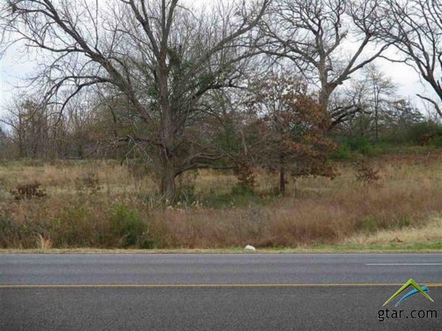 0000 Hwy 259 - Photo 1