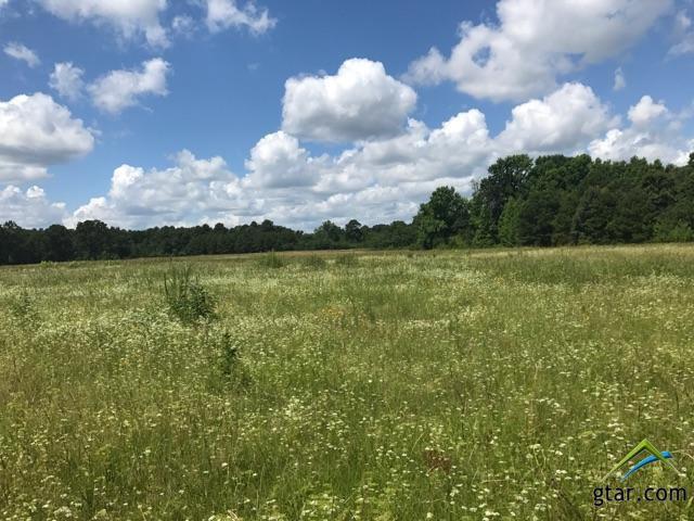 TBD Fm 315 - Photo 1