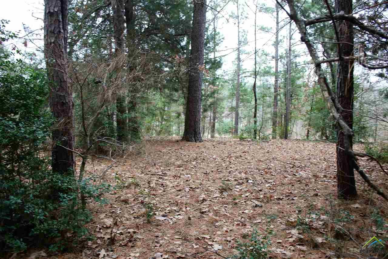 1326,1344,1388 Centennial Pkwy - Photo 1