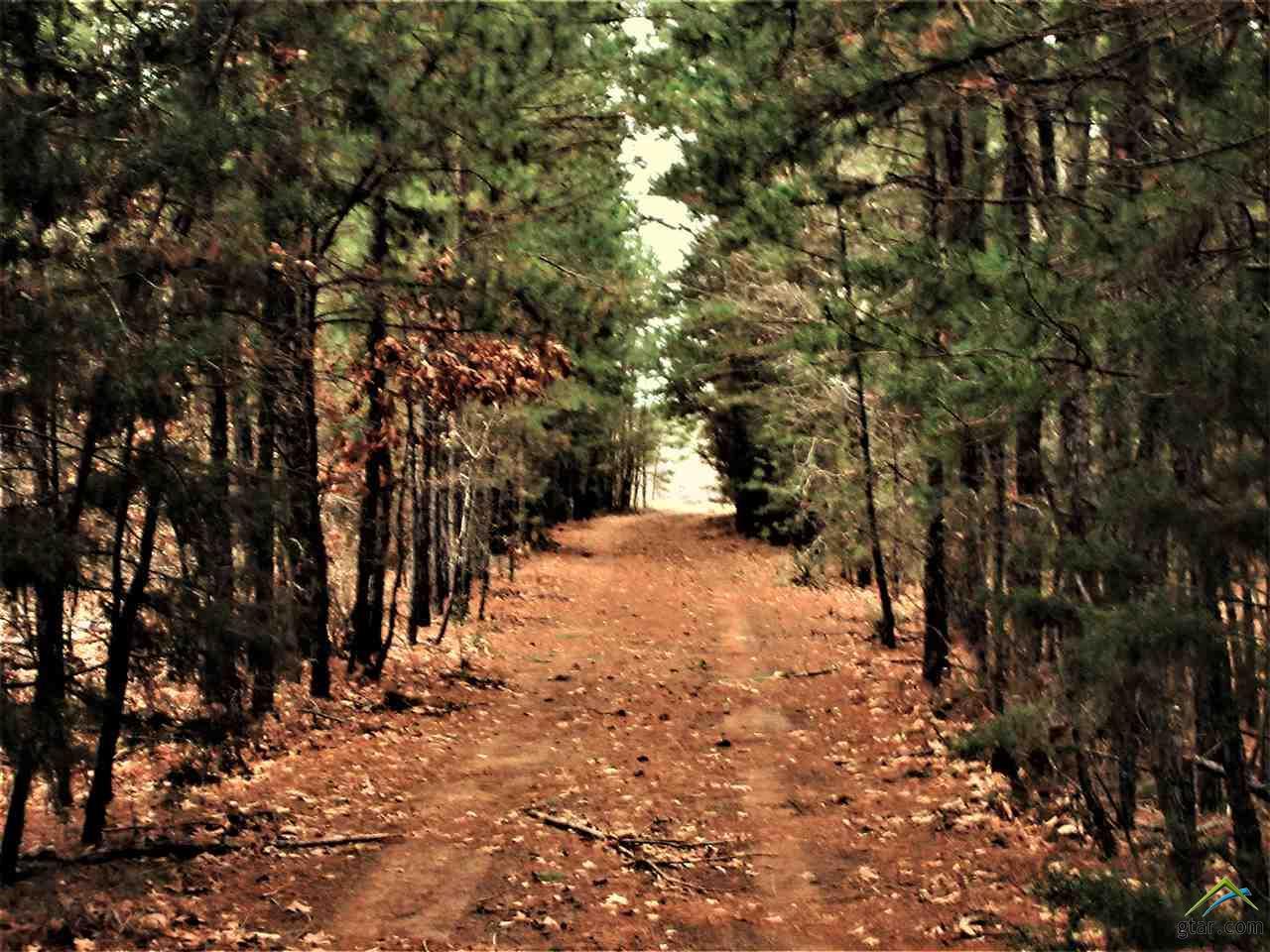 TBD Cr 3213 - Photo 1