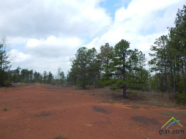 TBD 28 Acres Periwinkle - Photo 1
