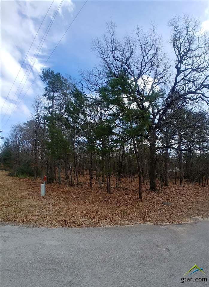 Sec 2 Lot 220 High Hill/Blue Bird - Photo 1
