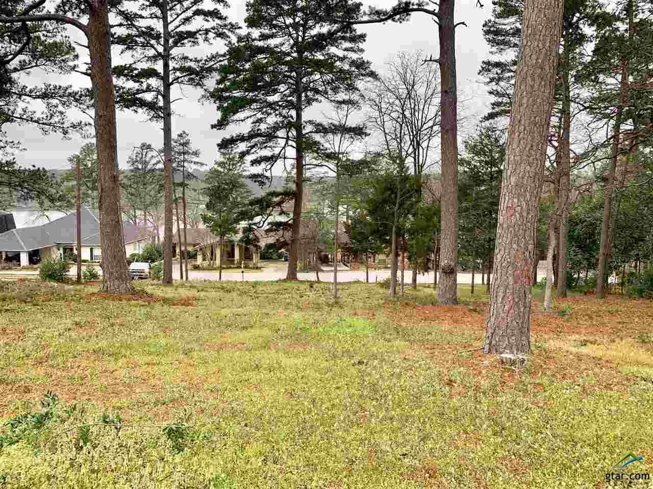 425 Hideaway Lane Central - Photo 1 425 Hideaway Lane Central - Photo 1