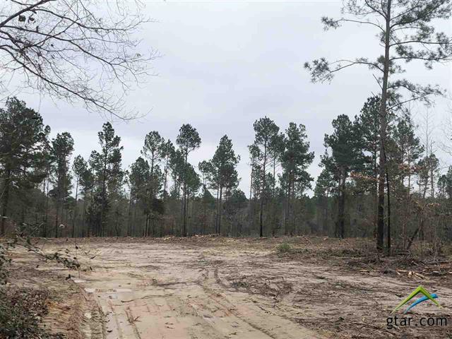 TBD Aspen Trail 9 Acres - Photo 1