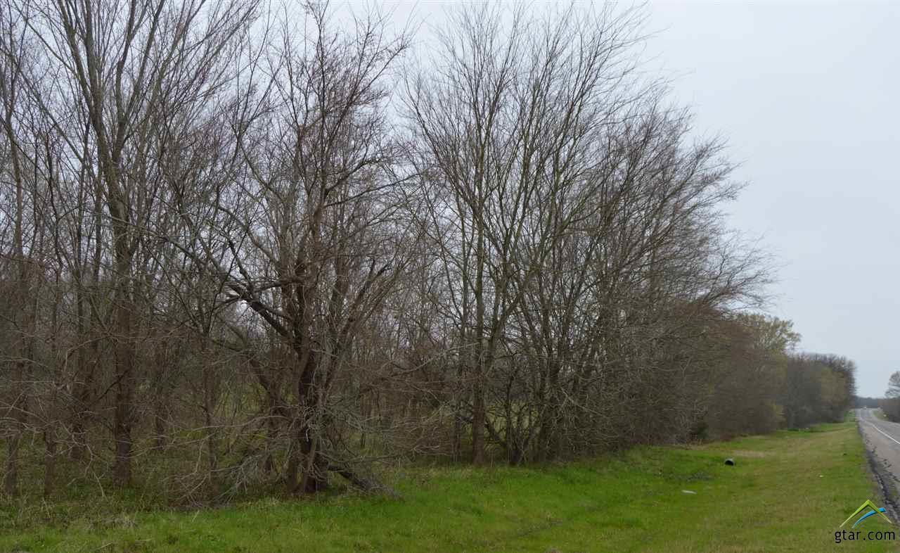 TBD Hwy 19 - Photo 1
