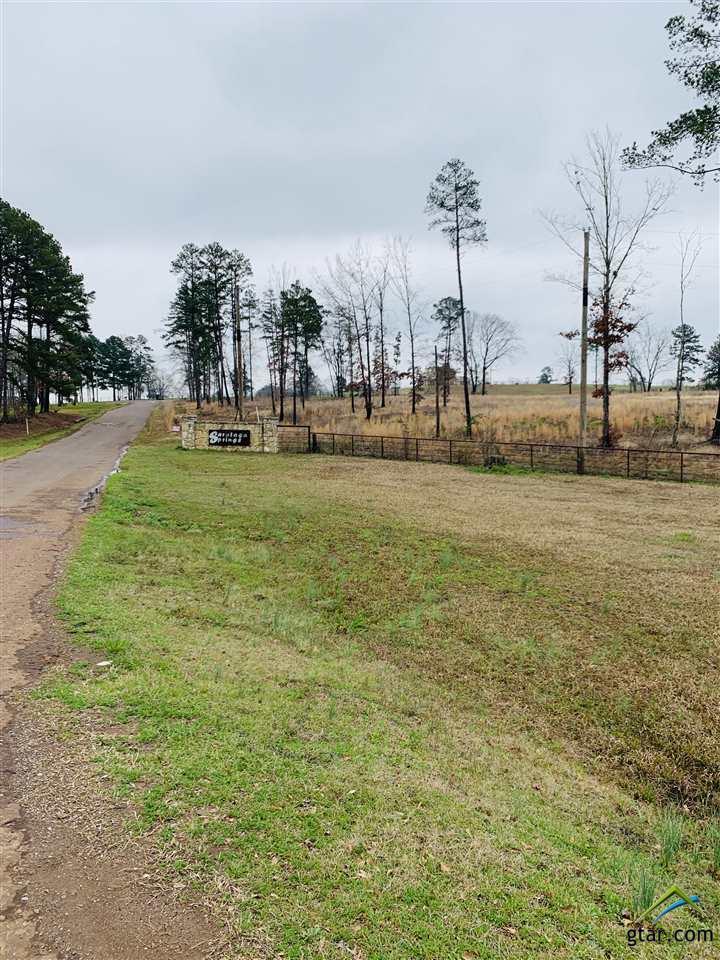 123TBD Osage - Photo 1