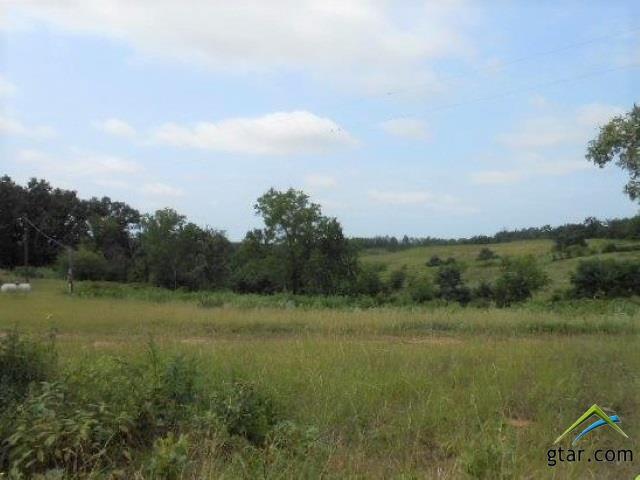 32 Acres Red Maple - Photo 1
