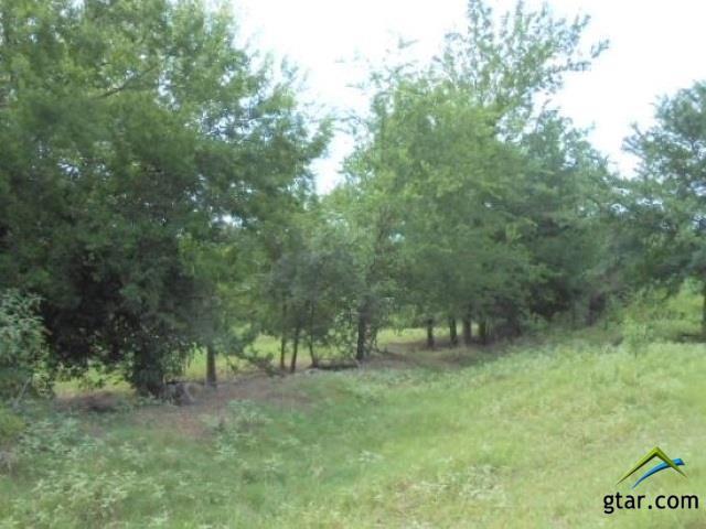 24 ACRES Red Maple Rd. - Photo 1