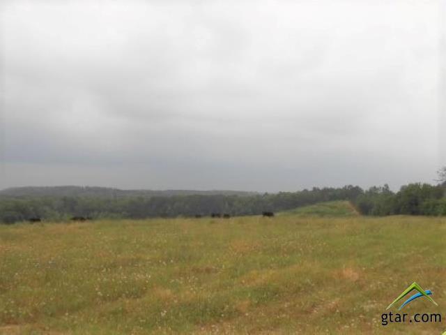 32 ACRES Red Maple Rd. - Photo 1
